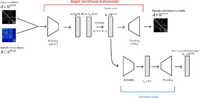 Figure 1 for Unified Embeddings of Structural and Functional Connectome via a Function-Constrained Structural Graph Variational Auto-Encoder