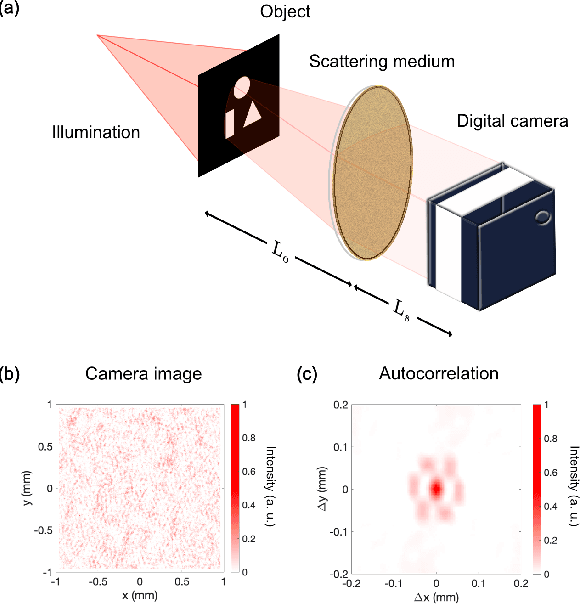 Figure 1 for Tracking moving objects through scattering media via speckle correlations