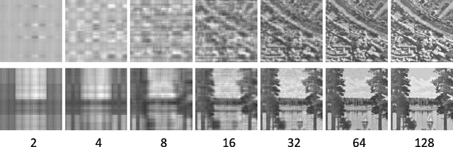 Figure 4 for Investigating the usefulness of Quantum Blur