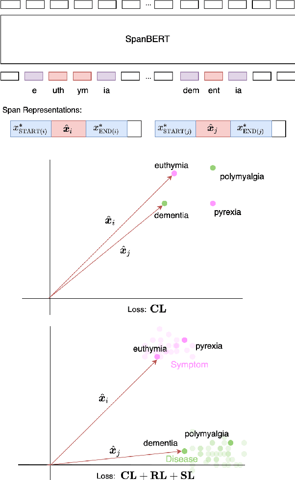Figure 1 for Improving Span Representation for Domain-adapted Coreference Resolution