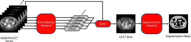 Figure 1 for Fully-Automated Analysis of Body Composition from CT in Cancer Patients Using Convolutional Neural Networks