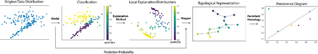 Figure 1 for Topological Representations of Local Explanations