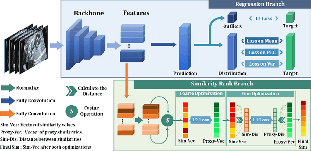 Figure 3 for Fine-grained Correlation Loss for Regression