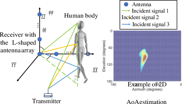 Figure 1 for Robust Person Identification: A WiFi Vision-based Approach