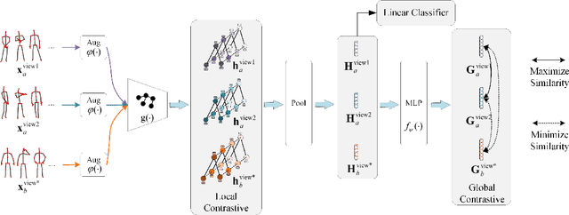 Figure 2 for View-Invariant Skeleton-based Action Recognition via Global-Local Contrastive Learning