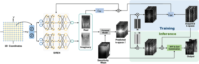 Figure 1 for A scan-specific unsupervised method for parallel MRI reconstruction via implicit neural representation