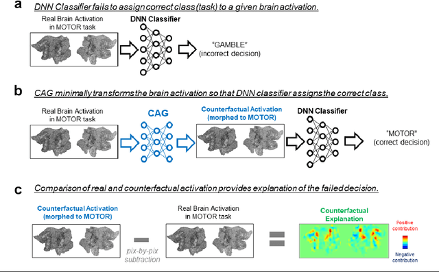 Figure 1 for Counterfactual Explanation of Brain Activity Classifiers using Image-to-Image Transfer by Generative Adversarial Network