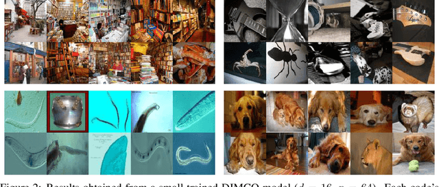 Figure 2 for Discrete Infomax Codes for Meta-Learning
