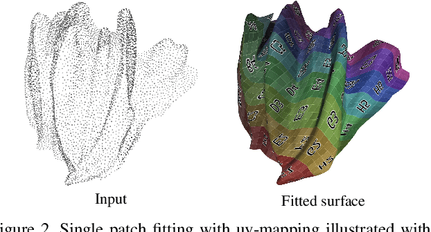 Figure 2 for Deep Geometric Prior for Surface Reconstruction