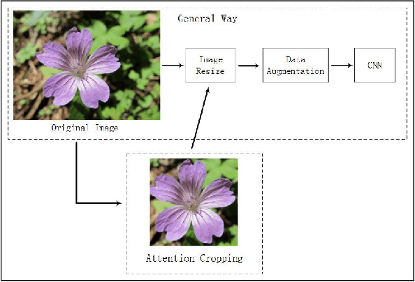 Figure 1 for Real-world plant species identification based on deep convolutional neural networks and visual attention