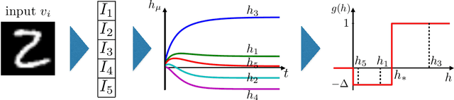 Figure 2 for Unsupervised Learning by Competing Hidden Units