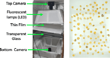 Figure 3 for Automated Seed Quality Testing System using GAN & Active Learning