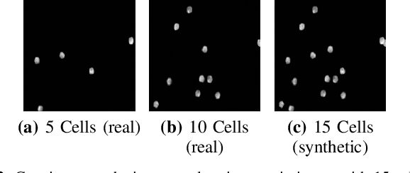 Figure 2 for Classification Beats Regression: Counting of Cells from Greyscale Microscopic Images based on Annotation-free Training Samples