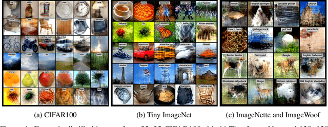 Figure 1 for Dataset Distillation using Neural Feature Regression