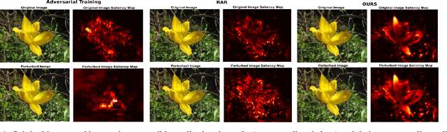 Figure 1 for Enhanced Regularizers for Attributional Robustness