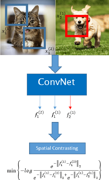 Figure 1 for Deep unsupervised learning through spatial contrasting
