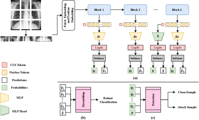 Figure 3 for Self-Ensembling Vision Transformer (SEViT) for Robust Medical Image Classification