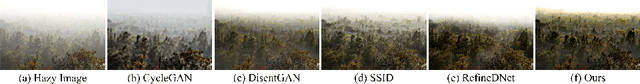 Figure 1 for Unpaired Deep Image Dehazing Using Contrastive Disentanglement Learning