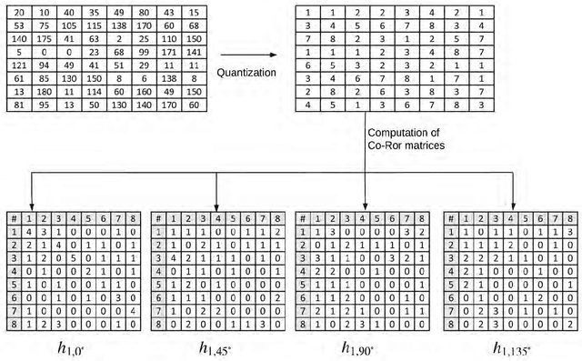 Figure 4 for Alignment-Free Cross-Sensor Fingerprint Matching based on the Co-Occurrence of Ridge Orientations and Gabor-HoG Descriptor
