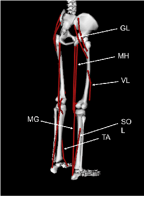 Figure 3 for Quantifying Performance of Bipedal Standing with Multi-channel EMG
