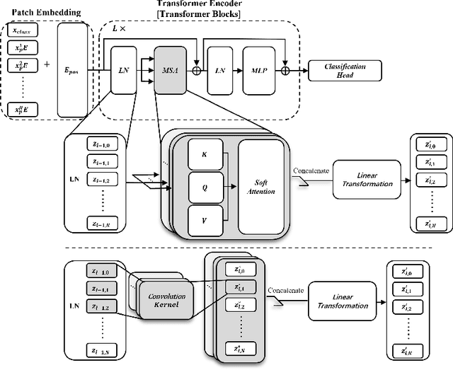 Figure 3 for Understanding Adversarial Robustness of Vision Transformers via Cauchy Problem