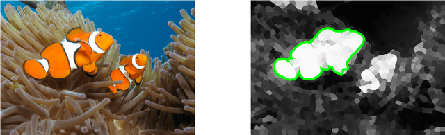Figure 1 for Contour Manifolds and Optimal Transport