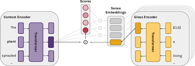 Figure 1 for Moving Down the Long Tail of Word Sense Disambiguation with Gloss-Informed Biencoders