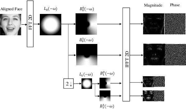 Figure 1 for MIMAMO Net: Integrating Micro- and Macro-motion for Video Emotion Recognition