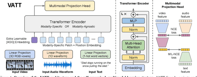 Figure 1 for VATT: Transformers for Multimodal Self-Supervised Learning from Raw Video, Audio and Text