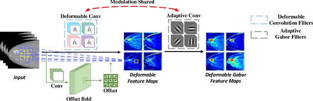 Figure 1 for Deformable Gabor Feature Networks for Biomedical Image Classification