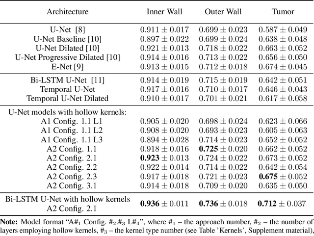 Figure 2 for Learnable Hollow Kernels for Anatomical Segmentation