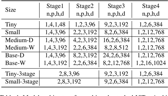 Figure 2 for Multi-Scale Vision Longformer: A New Vision Transformer for High-Resolution Image Encoding