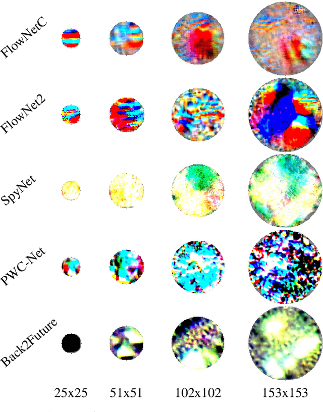 Figure 3 for Attacking Optical Flow
