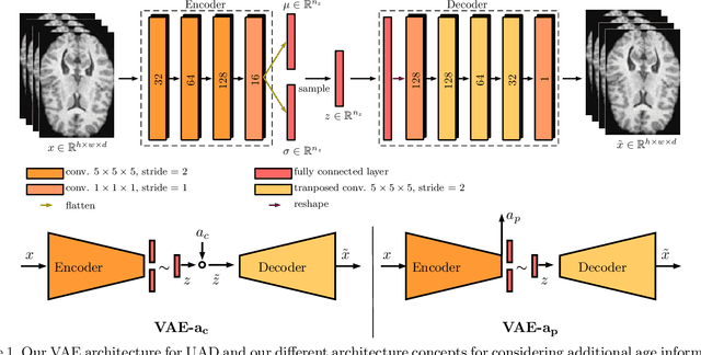 Figure 1 for Unsupervised Anomaly Detection in 3D Brain MRI using Deep Learning with Multi-Task Brain Age Prediction