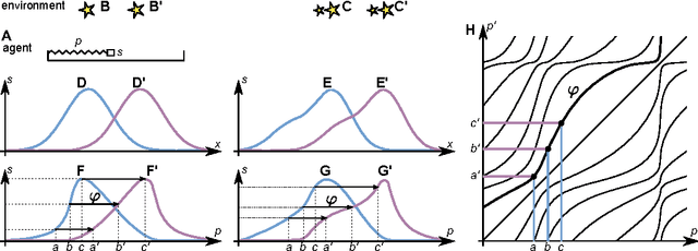 Figure 1 for Space as an invention of biological organisms