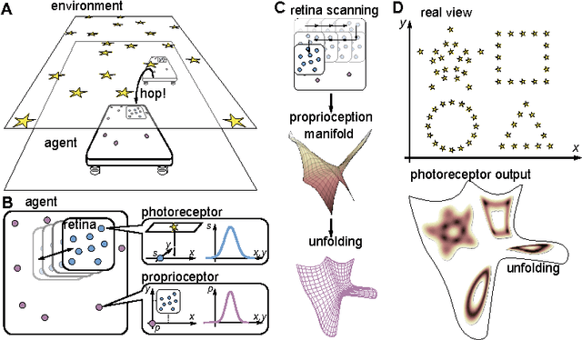 Figure 2 for Space as an invention of biological organisms