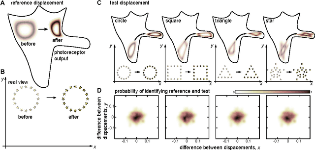 Figure 3 for Space as an invention of biological organisms