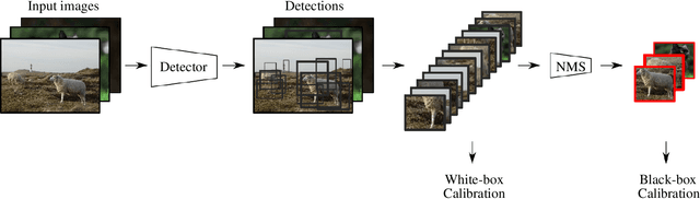 Figure 1 for From Black-box to White-box: Examining Confidence Calibration under different Conditions