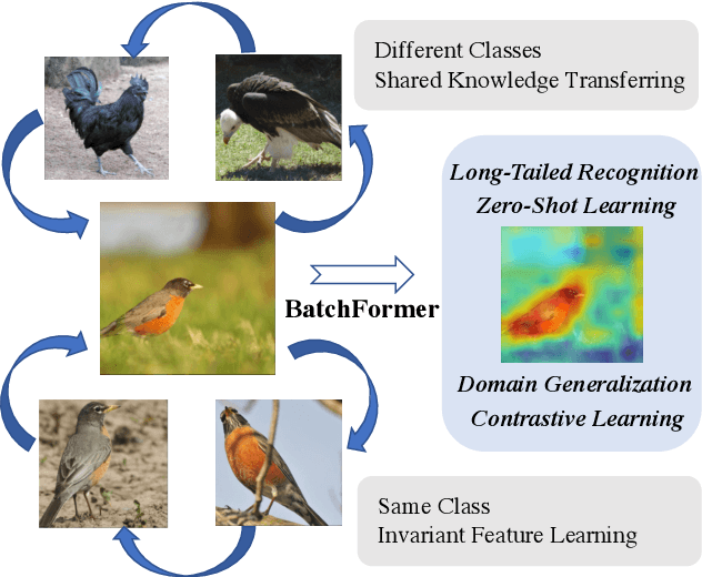 Figure 1 for BatchFormer: Learning to Explore Sample Relationships for Robust Representation Learning