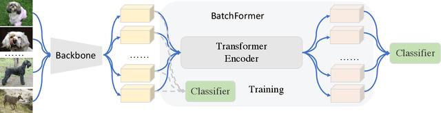 Figure 3 for BatchFormer: Learning to Explore Sample Relationships for Robust Representation Learning