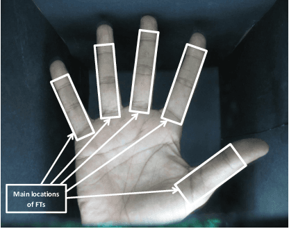 Figure 3 for Finger Texture Biometric Characteristic: a Survey