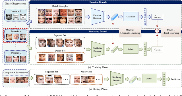 Figure 1 for When Facial Expression Recognition Meets Few-Shot Learning: A Joint and Alternate Learning Framework