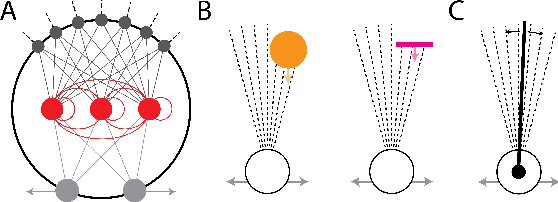 Figure 2 for Multifunctionality in embodied agents: Three levels of neural reuse