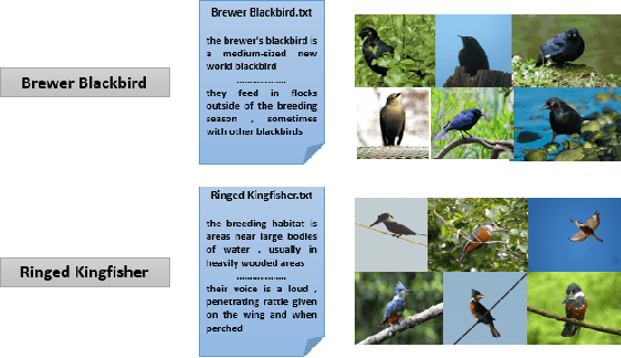 Figure 1 for A Multi-class Approach -- Building a Visual Classifier based on Textual Descriptions using Zero-Shot Learning