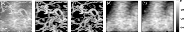 Figure 3 for Algorithm Unrolling: Interpretable, Efficient Deep Learning for Signal and Image Processing