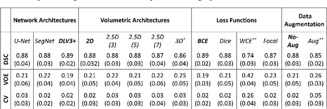 Figure 4 for Technical Considerations for Semantic Segmentation in MRI using Convolutional Neural Networks