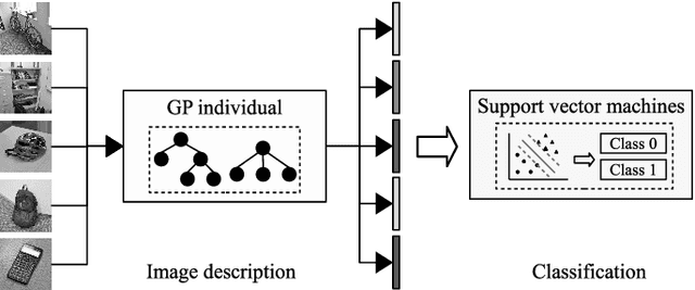 Figure 3 for Learning and Sharing: A Multitask Genetic Programming Approach to Image Feature Learning