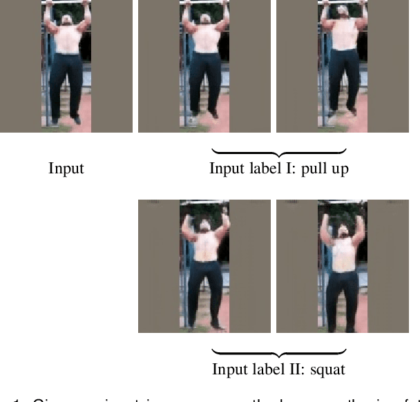 Figure 1 for Conditional Temporal Variational AutoEncoder for Action Video Prediction