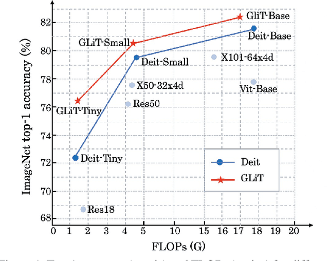 Figure 1 for GLiT: Neural Architecture Search for Global and Local Image Transformer