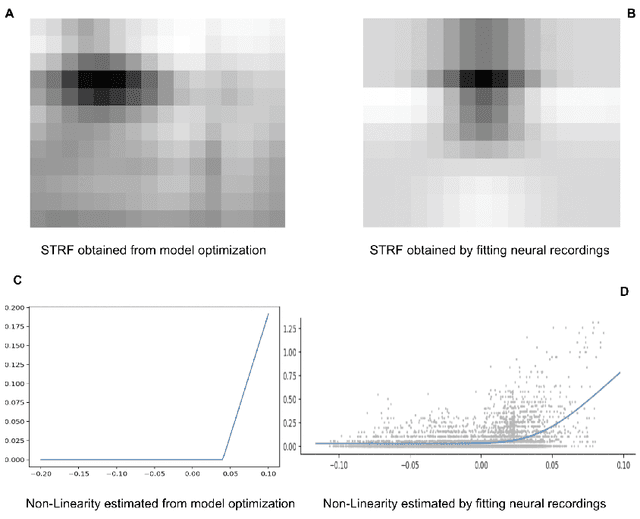 Figure 1 for Efficient Coding Approach Towards Non-Linear Spectro-Temporal Receptive Fields